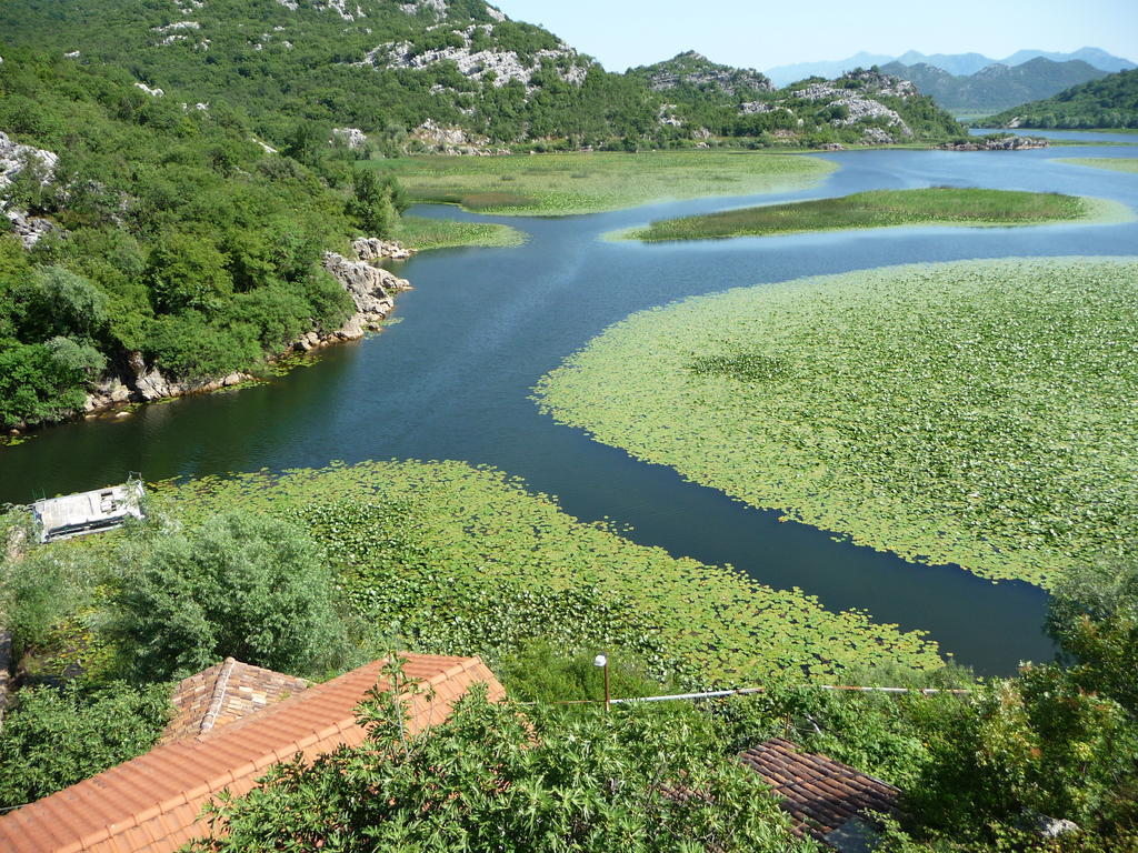 Studios Peric Sveti Stefan Zimmer foto